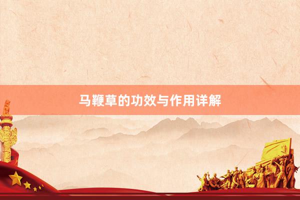 马鞭草的功效与作用详解