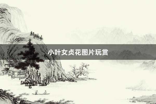小叶女贞花图片玩赏