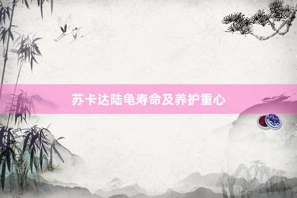 苏卡达陆龟寿命及养护重心
