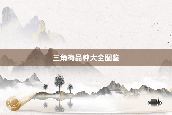 三角梅品种大全图鉴