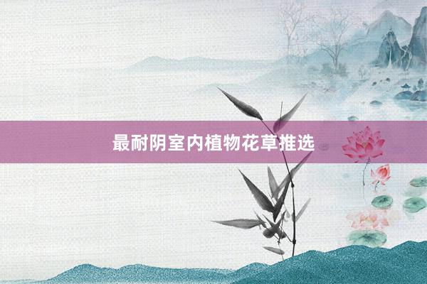 最耐阴室内植物花草推选